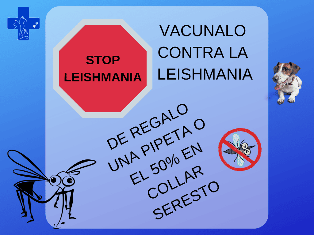 Scalibor leishmania hotsell