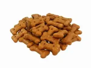 alimentacio-assessorament-animal-salut-veterinari-domicili