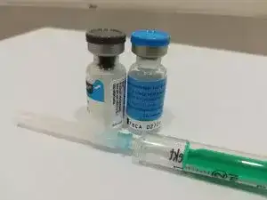 leucemia felina animal salut veterinario