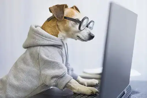 animal salut veterinario consulta online barcelona domicilio