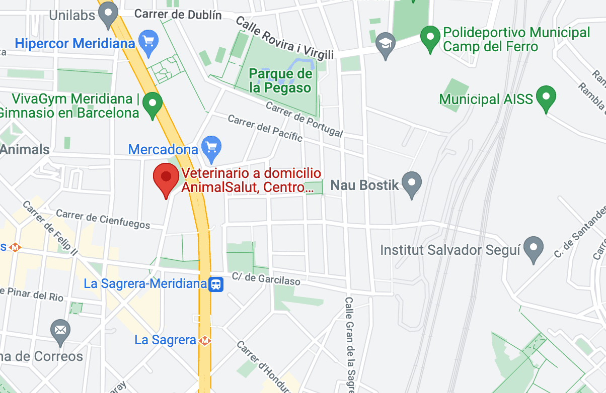 direccion animal salut centro veterinario la Sagrera veterinario a domicilio Barcelona