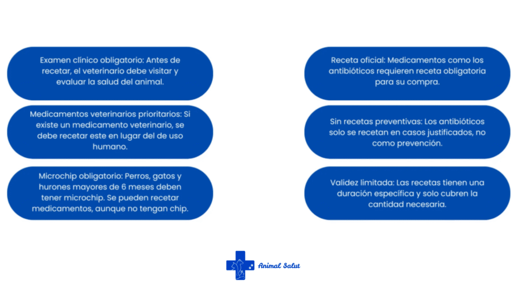 Reglas clave de la nueva ley del medicamento veterinario 2025 explicadas para propietarios de mascotas