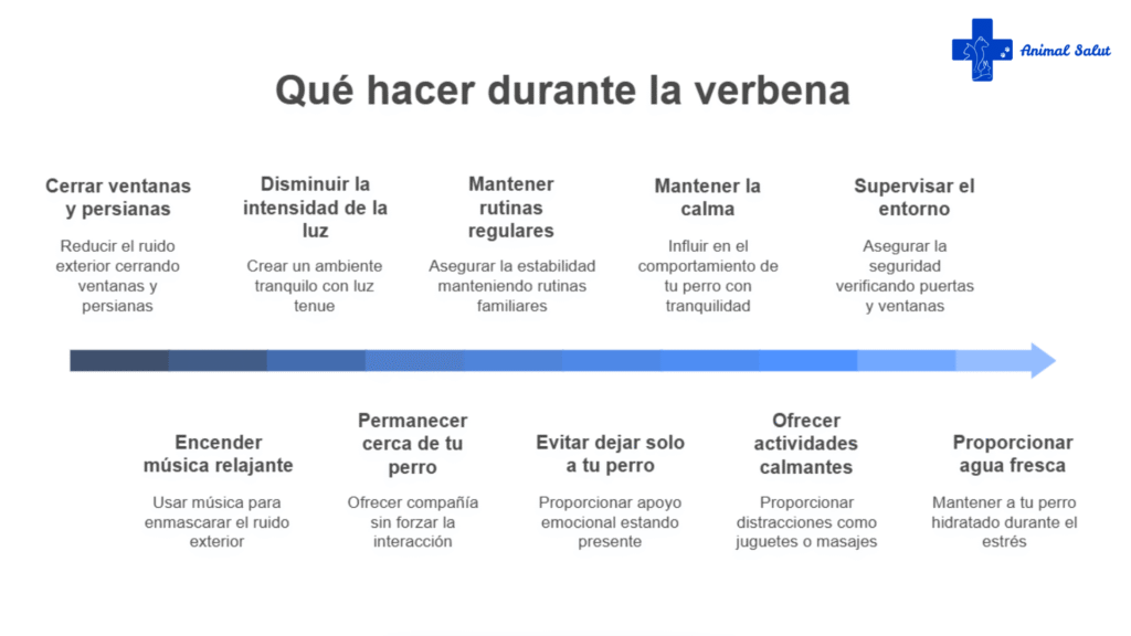 Infografía con acciones clave para proteger a los perros durante los fuegos artificiales de Sant Joan