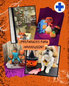 Campaña Halloween en tienda Animal Salut Barcelona