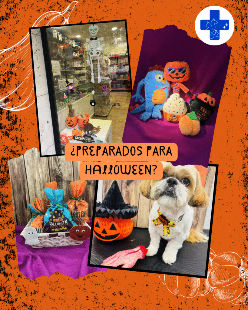 Campaña Halloween en tienda Animal Salut Barcelona